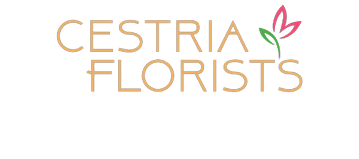 Cestria Florists